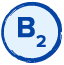 Mavi B12 İkon