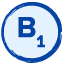 Mavi B1 İkon