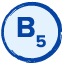 B5 vitamini