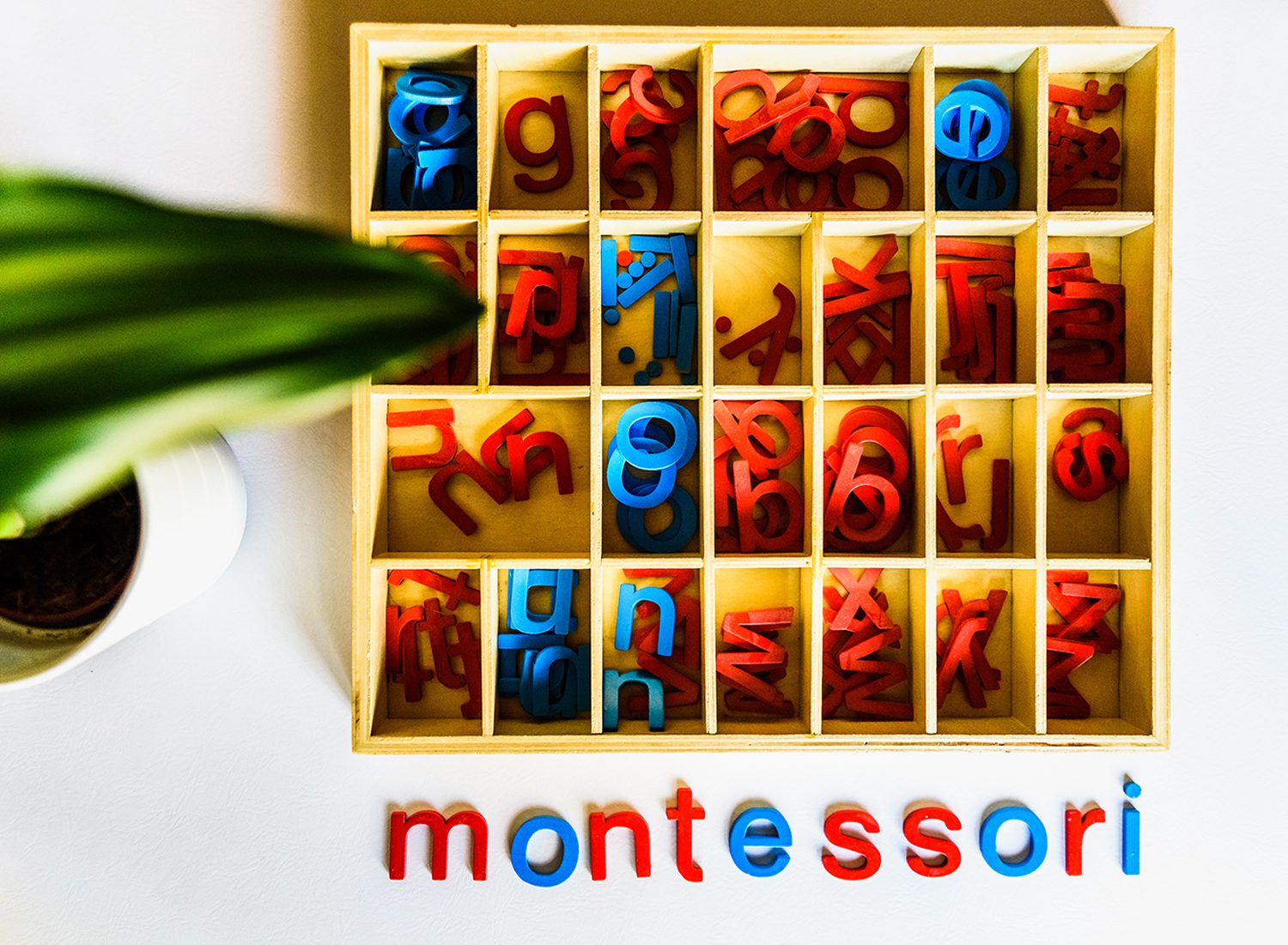 Yaşlara Göre Montessori Eğitimi Etkinlikleri Nelerdir?