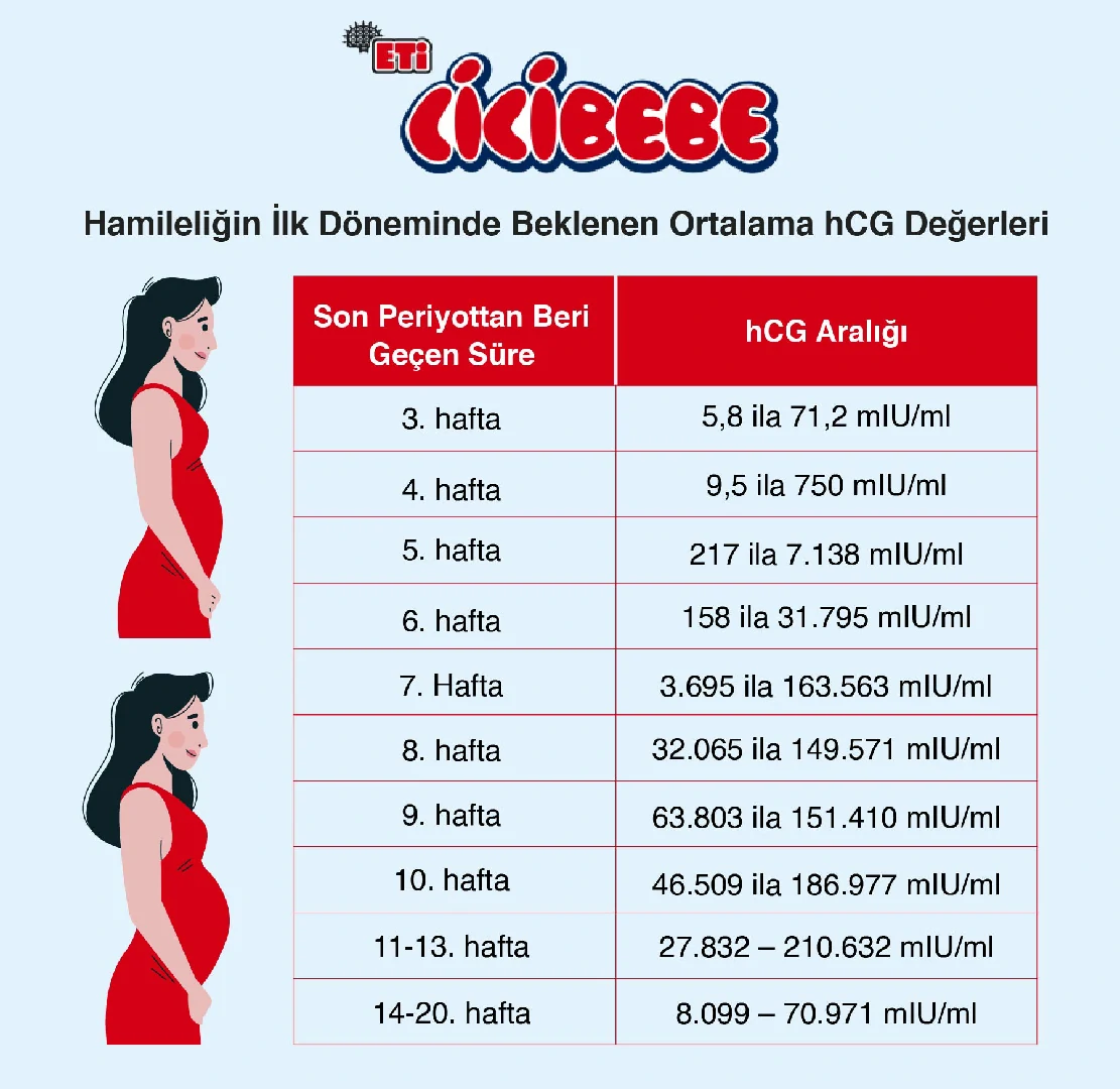 Beta HCG Testinde Değer Ortalaması Nedir?