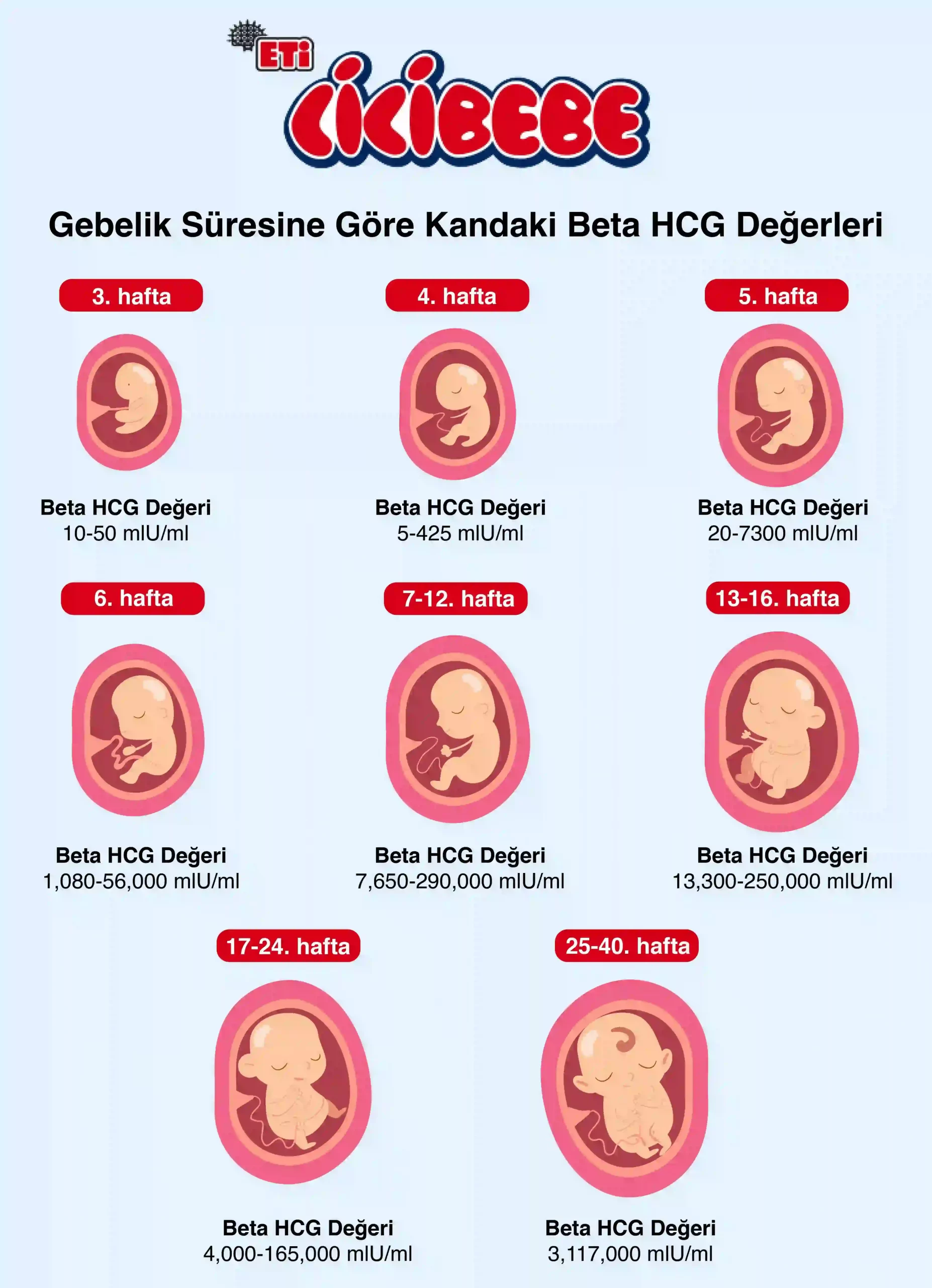 Bebeğinizle Aktivite Yaparken Nelere Dikkat Etmelisiniz?