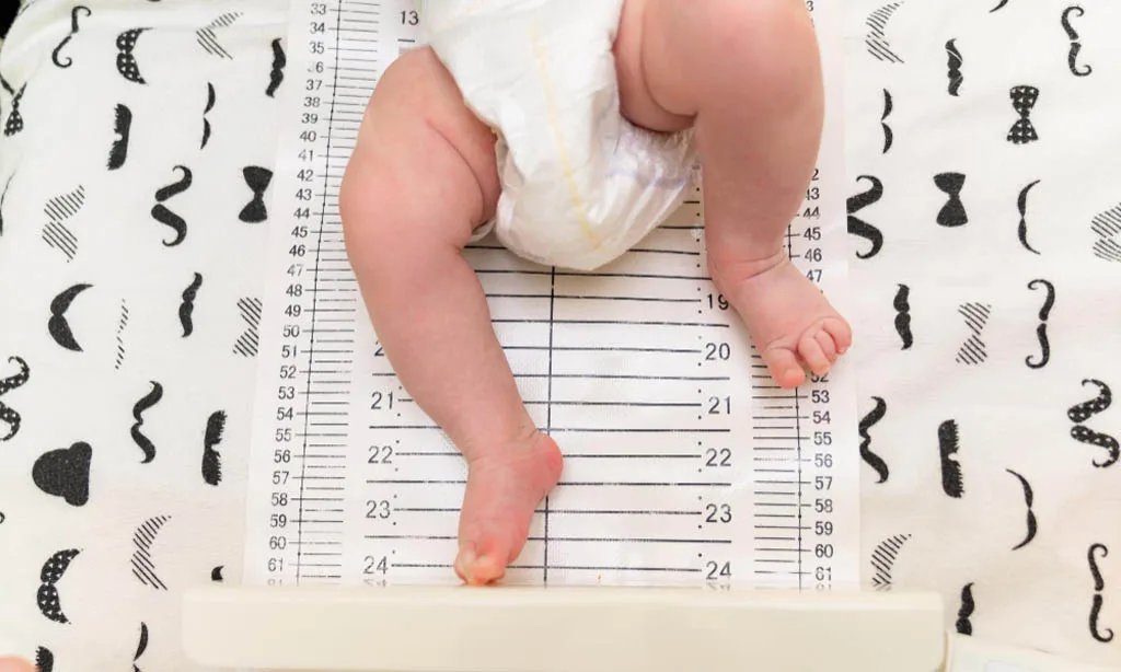 3 Bebek Gelişim Tablosu (Persentil Değerleri)
